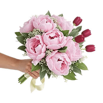 Peony Petal Harmony