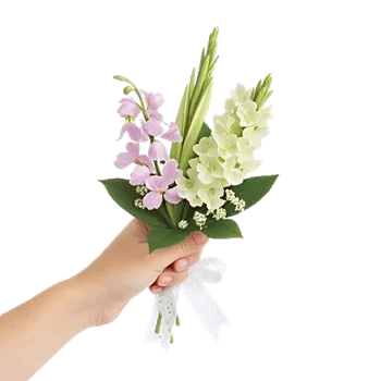 Ivory Blossom Radiance
