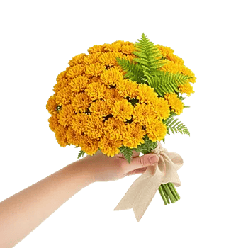 Golden Petal Harmony