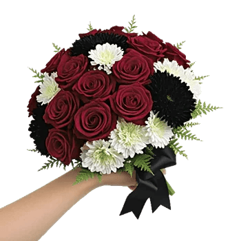 Blushing Rose Symphony