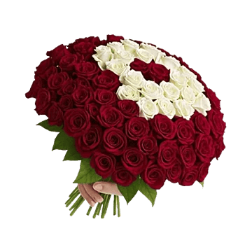 Crimson Rose Elegance