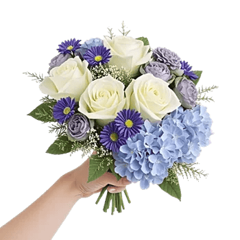 Serene Petal Harmony