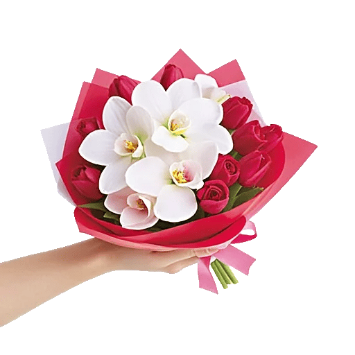 Minimalist White Orchids