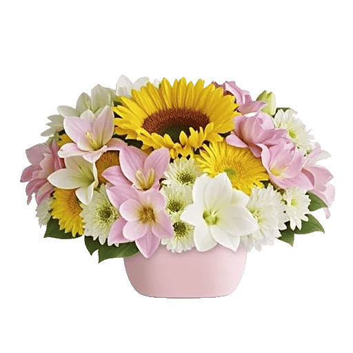 Radiant Bloom Cascade