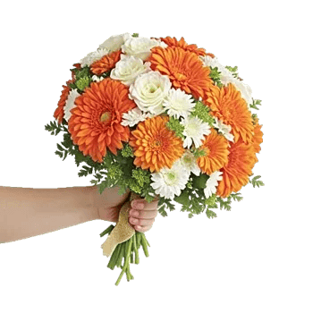 Delicate Petal Cascade