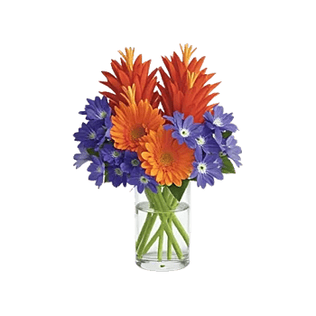 Petal Radiance Bliss