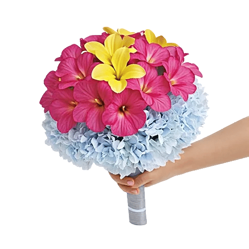 Plum Blossom Radiance