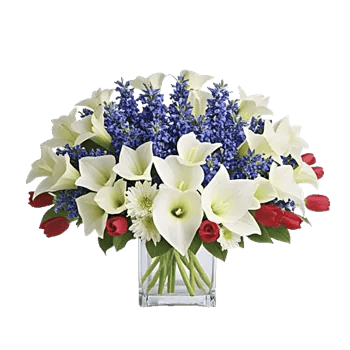 Elegant Calla Lilies