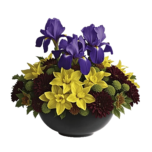 Ivory Blossom Radiance