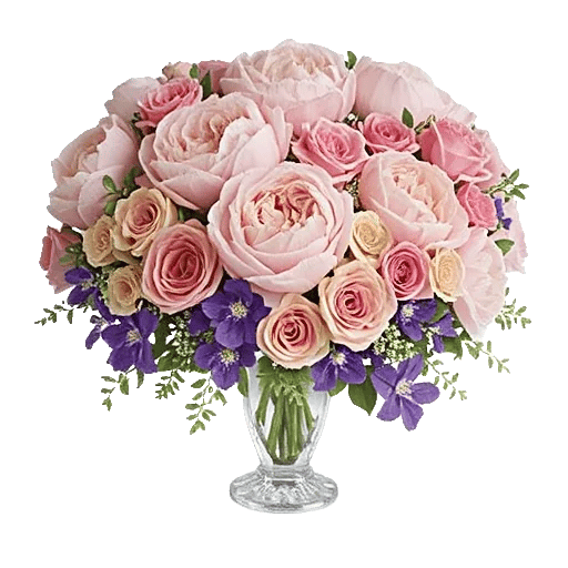 Petal Radiance Bliss
