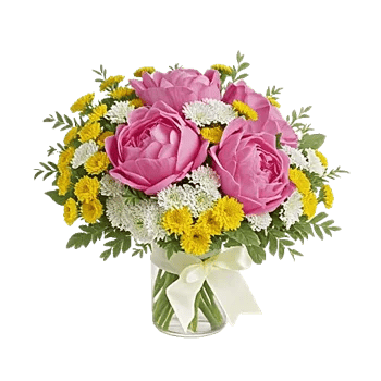 Petal Radiance Bliss