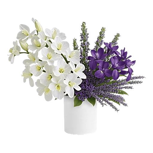 Modern White Orchids