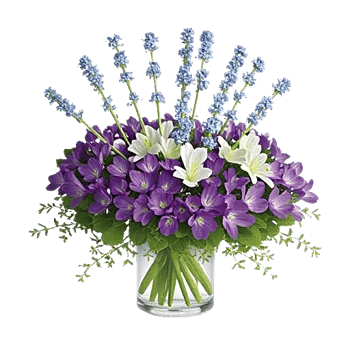 Ivory Blossom Radiance