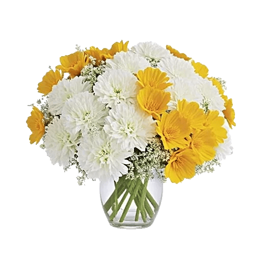 Delicate Petal Cascade