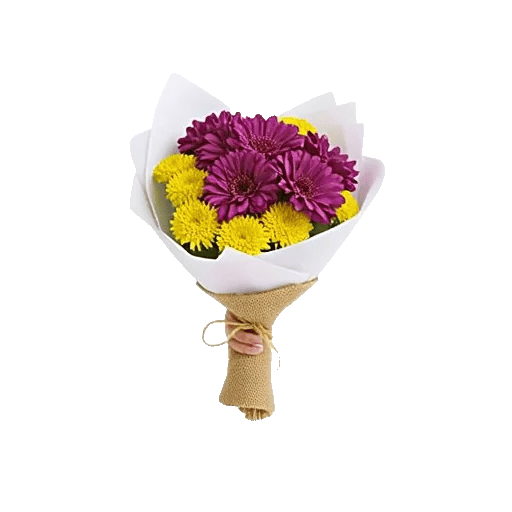 Petal Softness Display