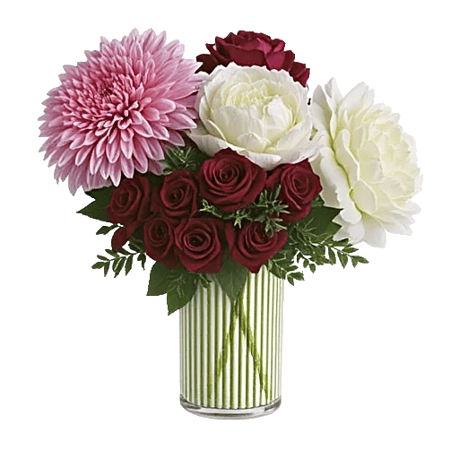 Petal Radiance Bliss