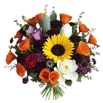 Sunlit Blossom Spread