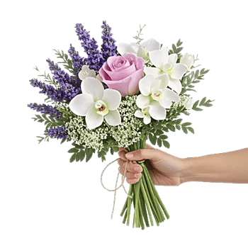 Petal Grace Harmony