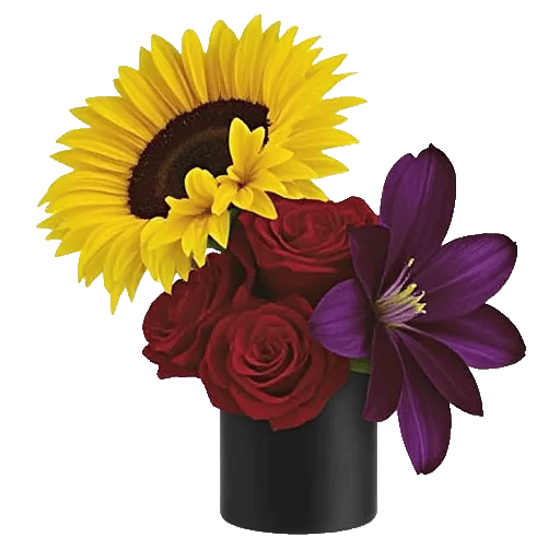 Radiant Bloom Cascade