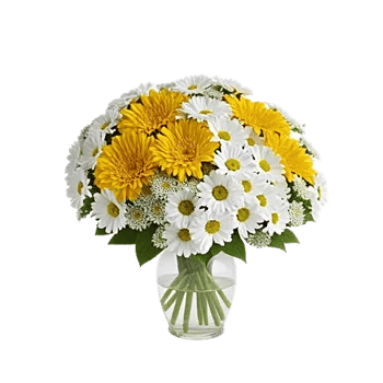 Golden Petal Harmony