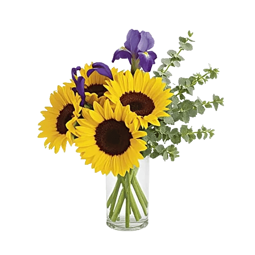 Ivory Blossom Radiance