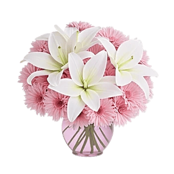 Graceful Lily Display