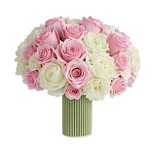 Petal Radiance Bliss