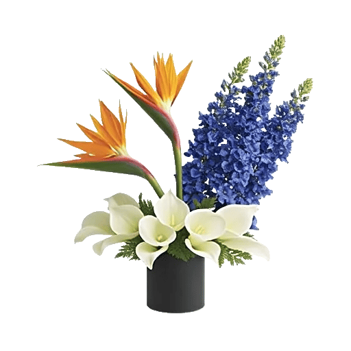 Elegant Calla Lilies