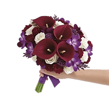 Elegant Calla Lilies