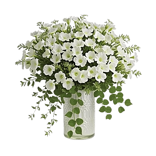 Ivory Blossom Radiance