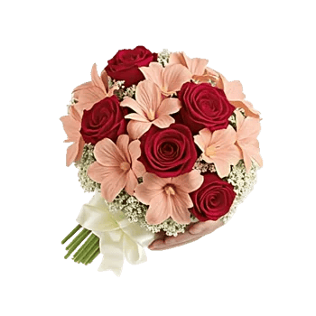 Crimson Rose Elegance