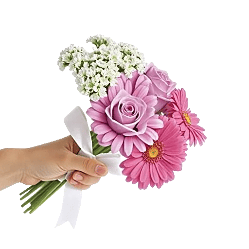 Petal Grace Harmony