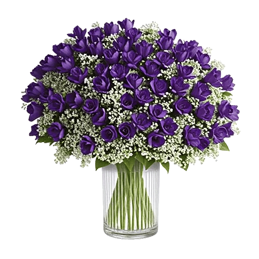 Ivory Blossom Radiance