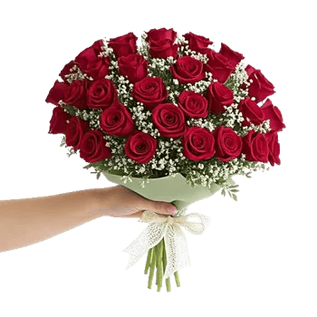 Crimson Rose Elegance