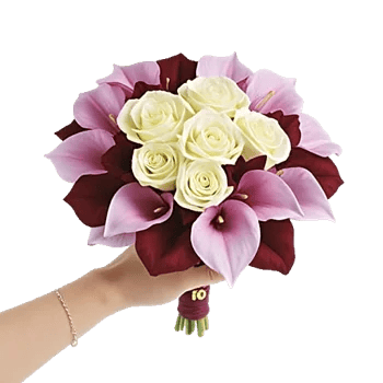 Elegant Calla Lilies