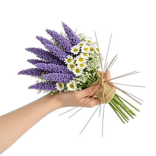 Delicate Petal Cascade