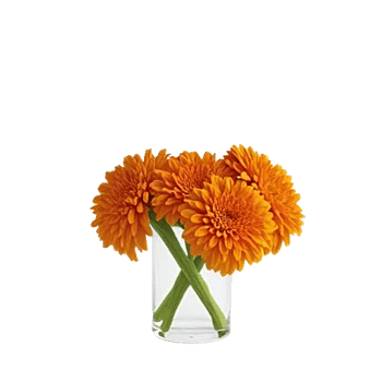 Vibrant Orange Delight