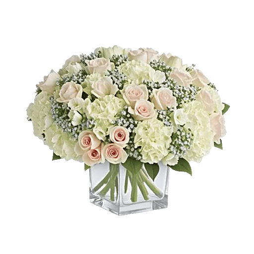 Serene Petal Harmony
