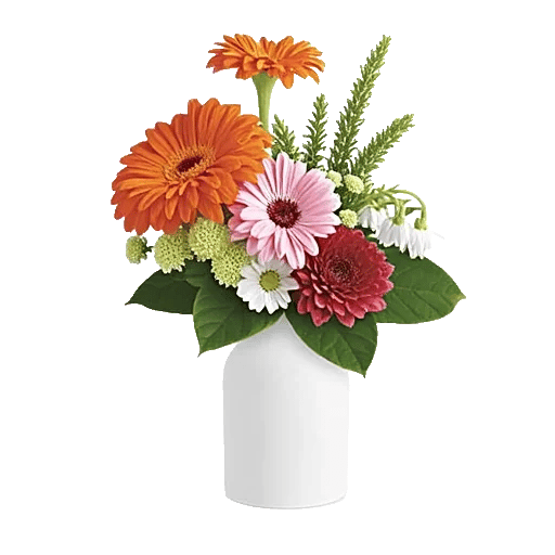 Petal Radiance Bliss