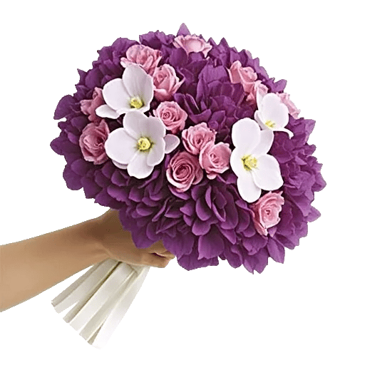 Orchid Petal Glow