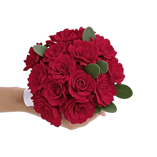 Crimson Rose Elegance