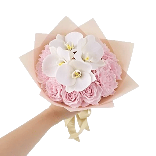 Minimalist White Orchids