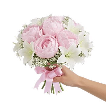 Peony Petal Harmony