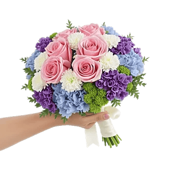 Pastel Pink Roses