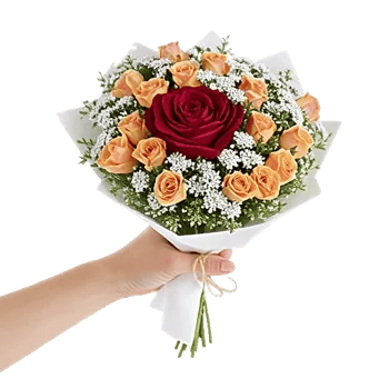 Crimson Rose Elegance