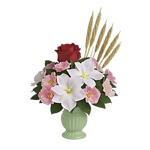 Ivory Blossom Radiance