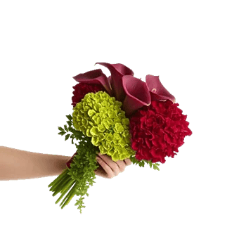 Elegant Calla Lilies