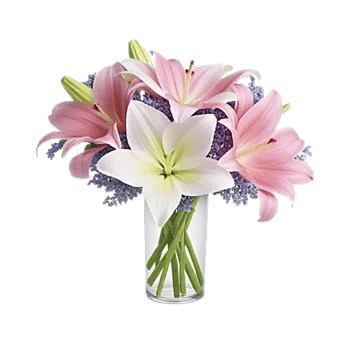 Graceful Lily Display