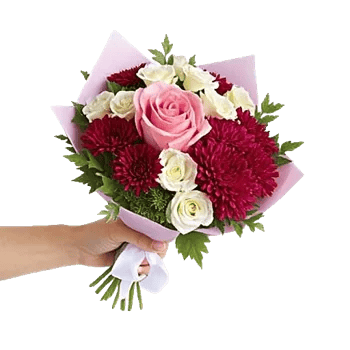 Blushing Rose Symphony