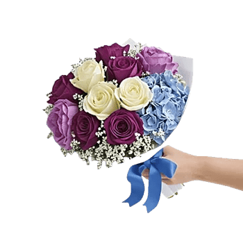 Serene Petal Harmony